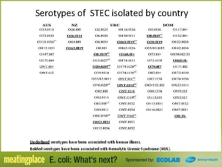 Serotypes of STEC isolated by country Underlined serotypes have been associated with human illness.