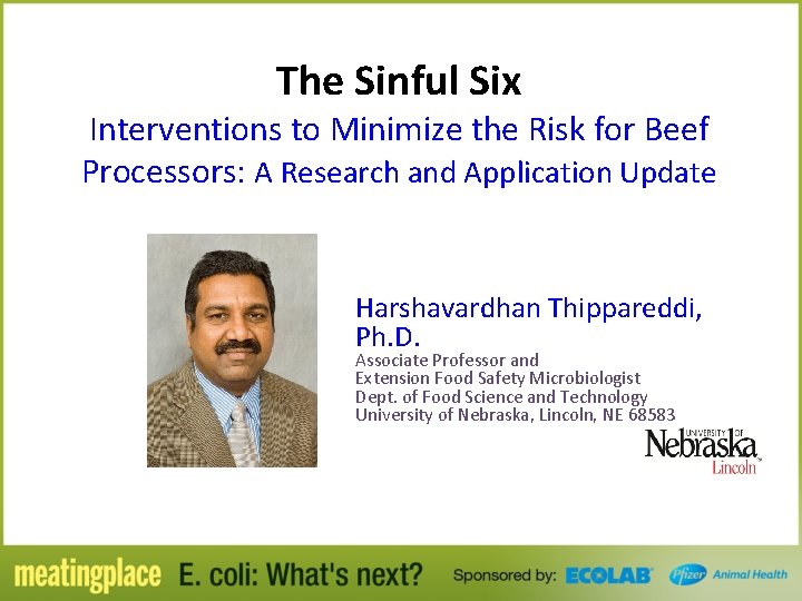 The Sinful Six Interventions to Minimize the Risk for Beef Processors: A Research and