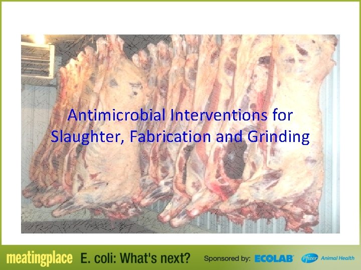 Antimicrobial Interventions for Slaughter, Fabrication and Grinding 
