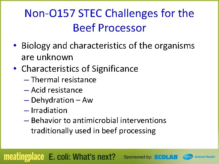 Non-O 157 STEC Challenges for the Beef Processor • Biology and characteristics of the