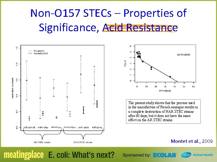 Non-O 157 STECs – Properties of Significance, Acid Resistance The present study shows that