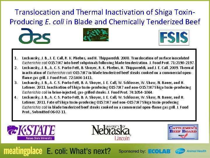 Translocation and Thermal Inactivation of Shiga Toxin. Producing E. coli in Blade and Chemically