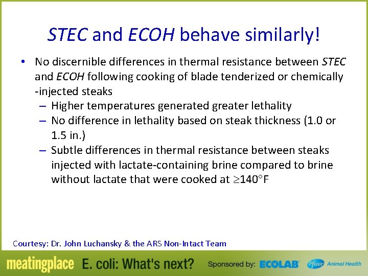 STEC and ECOH behave similarly! • No discernible differences in thermal resistance between STEC