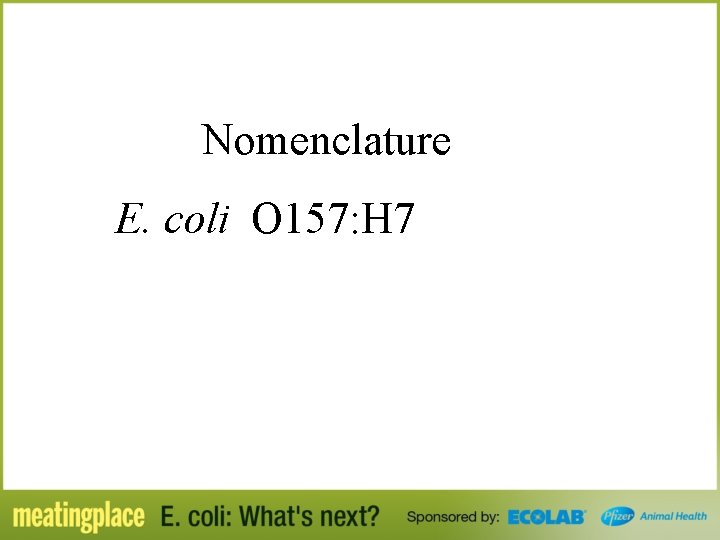Nomenclature E. coli O 157: H 7 