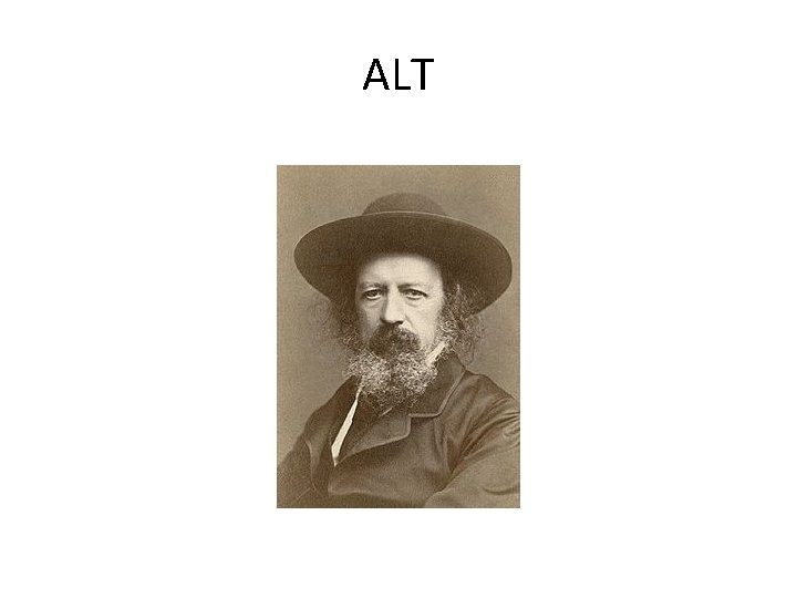 ALT ALT