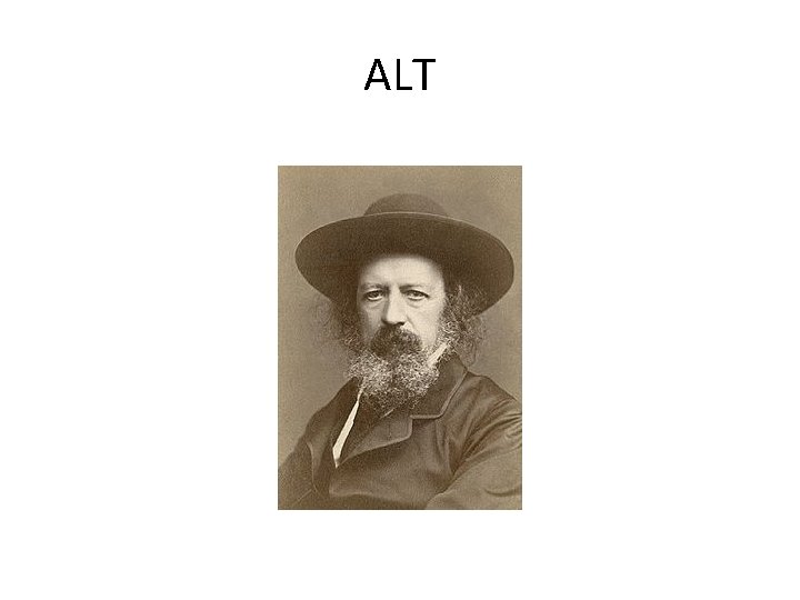 ALT 