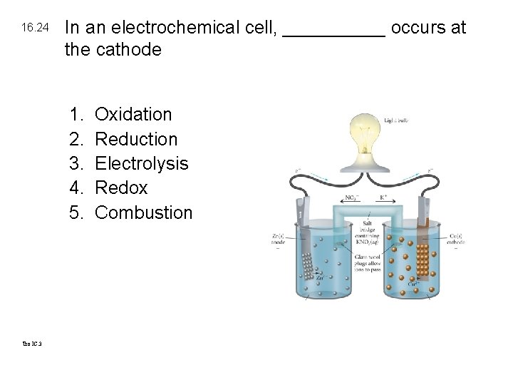 16. 24 In an electrochemical cell, _____ occurs at the cathode 1. 2. 3.