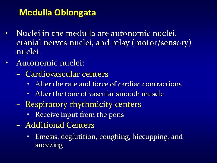 Medulla Oblongata • Nuclei in the medulla are autonomic nuclei, cranial nerves nuclei, and