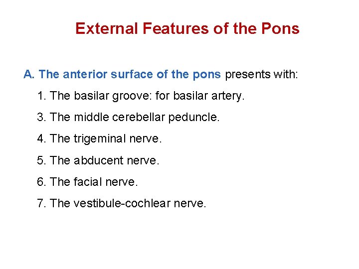 External Features of the Pons A. The anterior surface of the pons presents with: