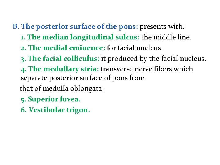 B. The posterior surface of the pons: presents with: 1. The median longitudinal sulcus: