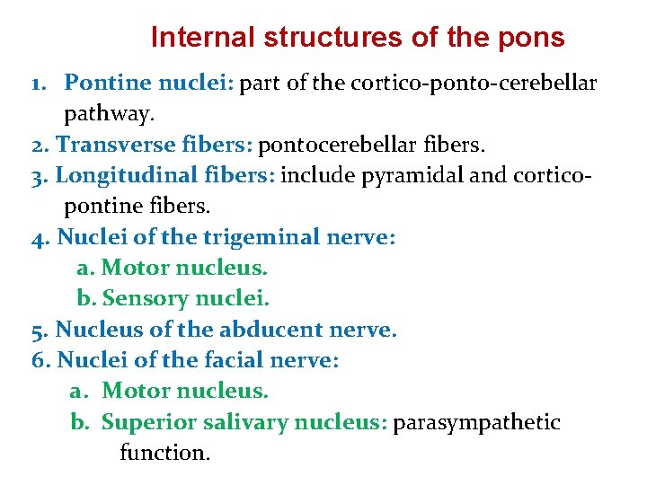 Internal structures of the pons 1. Pontine nuclei: part of the cortico-ponto-cerebellar pathway. 2.