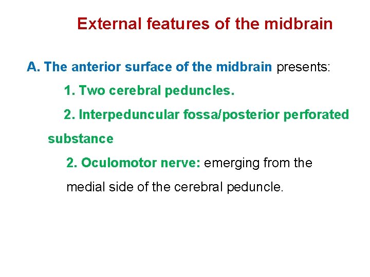 External features of the midbrain A. The anterior surface of the midbrain presents: 1.