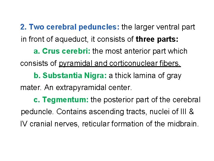 2. Two cerebral peduncles: the larger ventral part in front of aqueduct, it consists