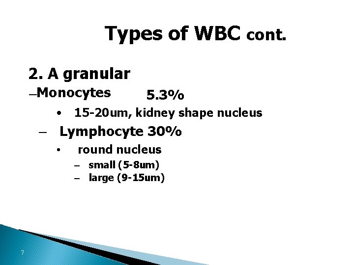 Types of WBC cont. 2. A granular –Monocytes • 5. 3% 15 -20 um,