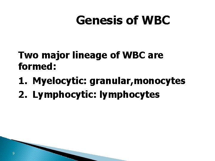 Genesis of WBC Two major lineage of WBC are formed: 1. Myelocytic: granular, monocytes