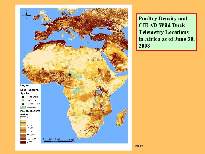 Poultry Density and CIRAD Wild Duck Telemetry Locations in Africa as of June 30,