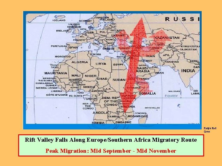 Kenya Red Cross Rift Valley Falls Along Europe/Southern Africa Migratory Route Peak Migration: Mid