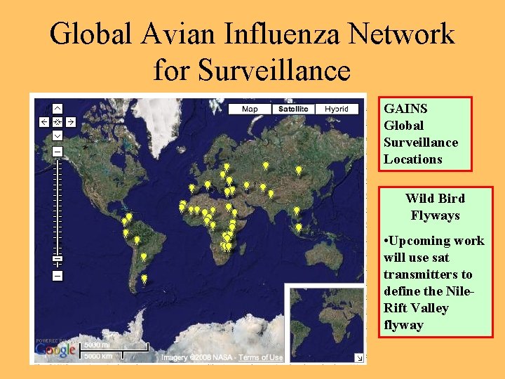 Global Avian Influenza Network for Surveillance GAINS Global Surveillance Locations Wild Bird Flyways •