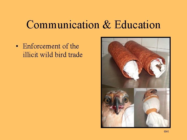 Communication & Education • Enforcement of the illicit wild bird trade CDC 
