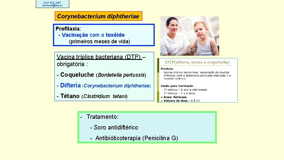 EJV-ICB_USP bevicent@usp. br Corynebacterium diphtheriae Profilaxia: - Vacinação com o toxóide (primeiros meses de