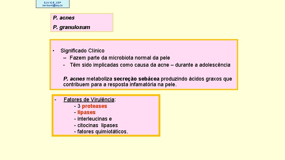 EJV-ICB_USP bevicent@usp. br P. acnes P. granulosum • Significado Clínico – Fazem parte da