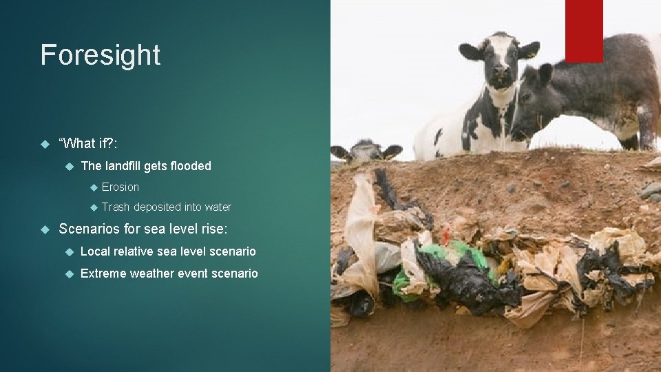 Foresight “What if? : The landfill gets flooded Erosion Trash deposited into water Scenarios