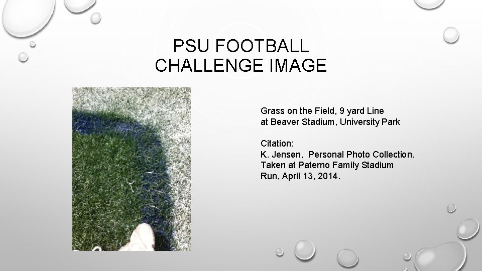 PSU FOOTBALL CHALLENGE IMAGE Grass on the Field, 9 yard Line at Beaver Stadium,