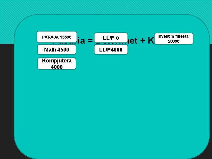  PARAJA 20000 15500 Paraja LL/P 4500 LL/P 0 Malli 4500 LL/P 4000 Investim