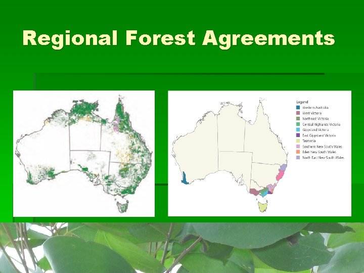 Regional Forest Agreements 