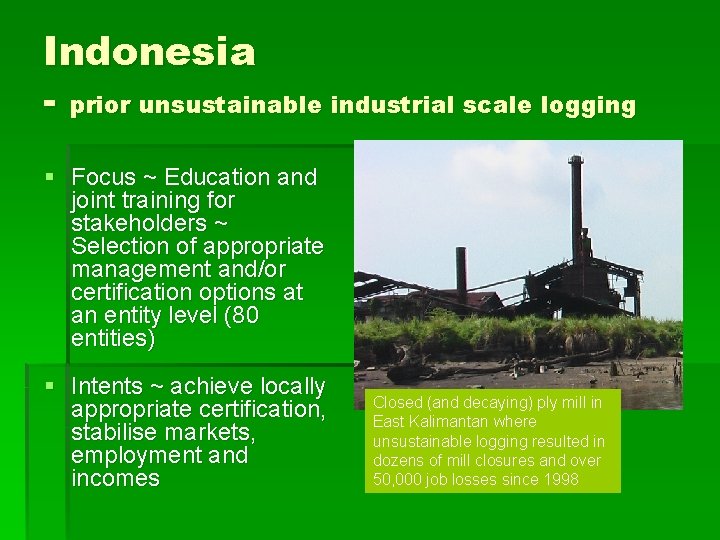 Indonesia - prior unsustainable industrial scale logging § Focus ~ Education and joint training