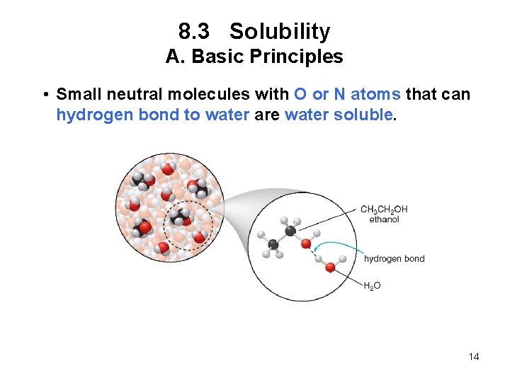 8. 3 Solubility A. Basic Principles • Small neutral molecules with O or N