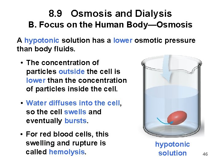 8. 9 Osmosis and Dialysis B. Focus on the Human Body—Osmosis A hypotonic solution