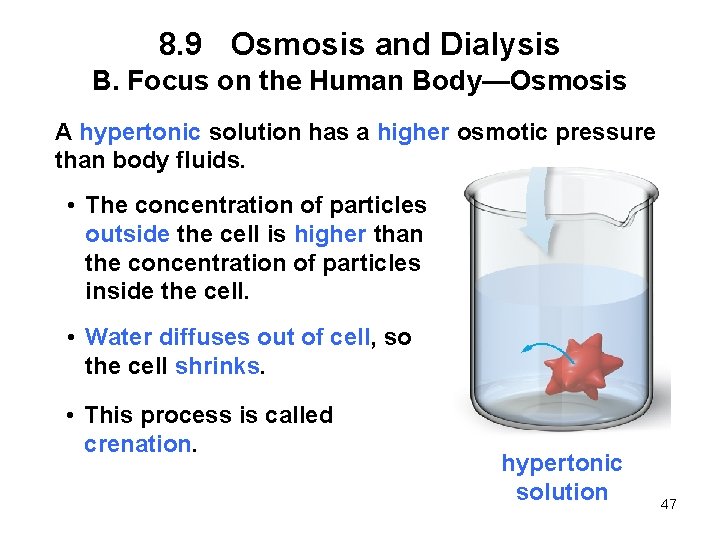 8. 9 Osmosis and Dialysis B. Focus on the Human Body—Osmosis A hypertonic solution