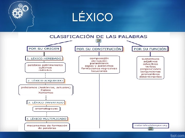 LÉXICO 