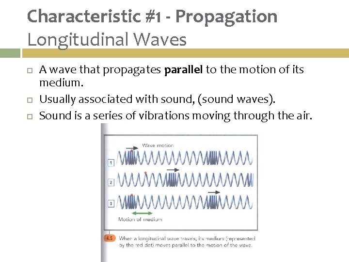 Characteristic #1 - Propagation Longitudinal Waves A wave that propagates parallel to the motion
