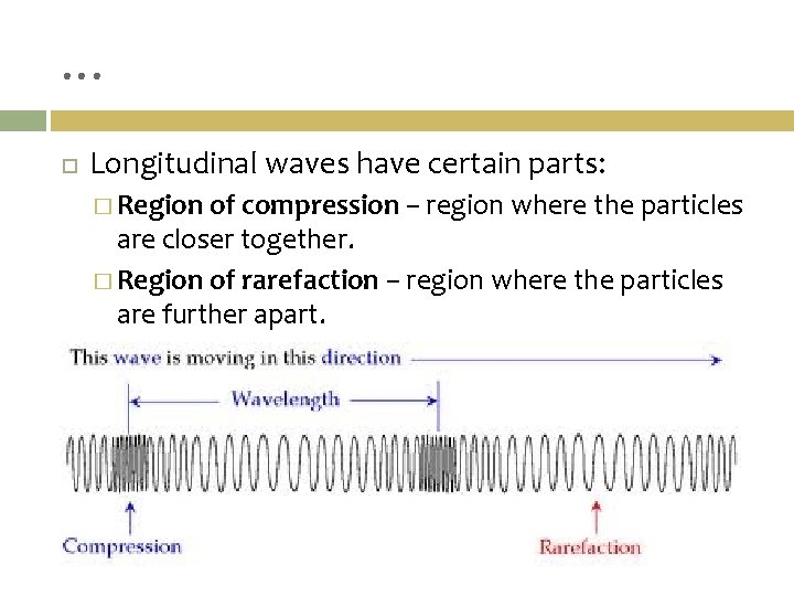 … Longitudinal waves have certain parts: � Region of compression – region where the