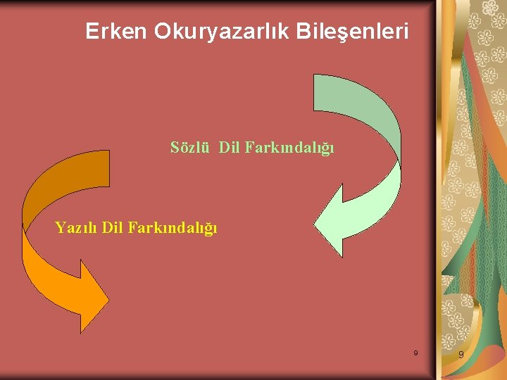 Erken Okuryazarlık Bileşenleri Sözlü Dil Farkındalığı Yazılı Dil Farkındalığı 9 9 