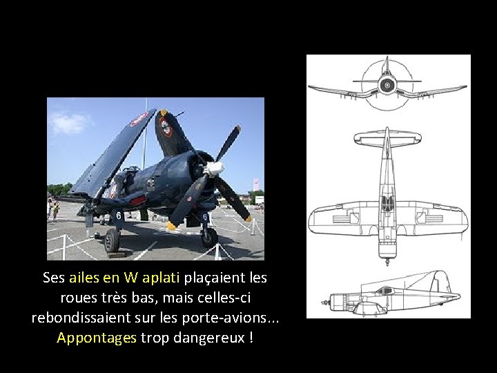 Ses ailes en W aplati plaçaient les roues très bas, mais celles-ci rebondissaient sur