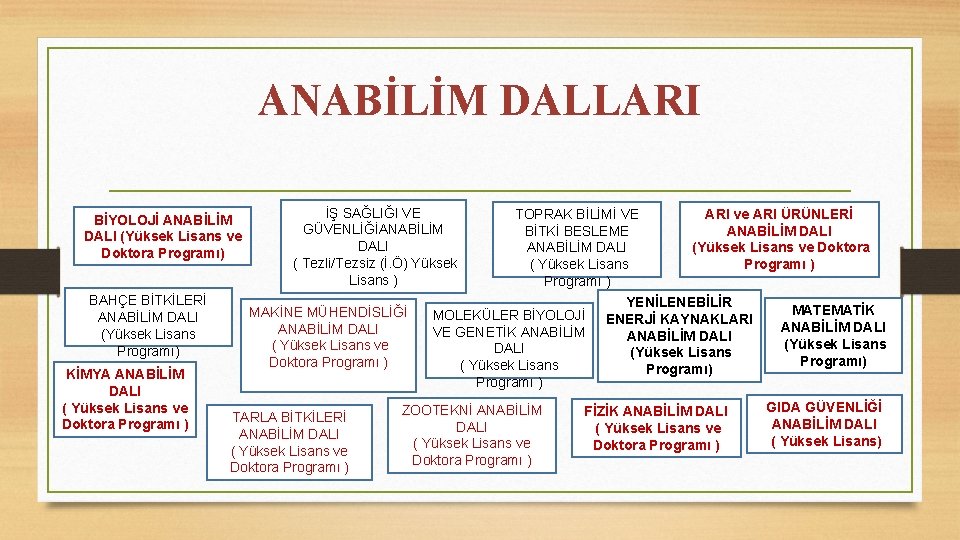 ANABİLİM DALLARI BİYOLOJİ ANABİLİM DALI (Yüksek Lisans ve Doktora Programı) BAHÇE BİTKİLERİ ANABİLİM DALI