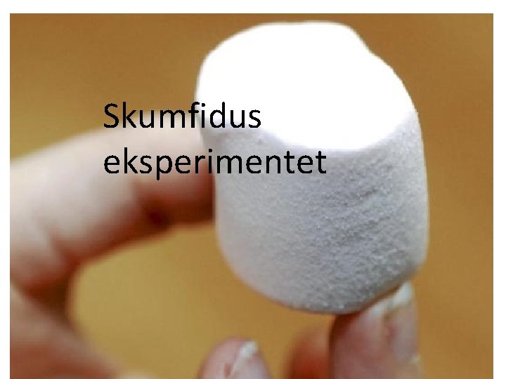 Skumfidus eksperimentet 