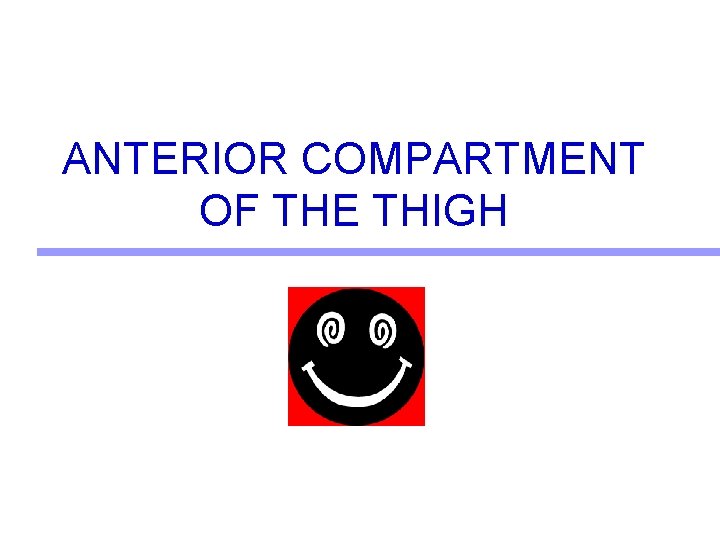 ANTERIOR COMPARTMENT OF THE THIGH  ANTERIOR COMPARTMENT OF THE THIGH