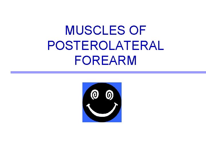 MUSCLES OF POSTEROLATERAL FOREARM  MUSCLES OF POSTEROLATERAL FOREARM