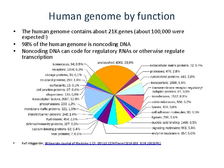 Human genome by function • • The human genome contains about 21 K genes