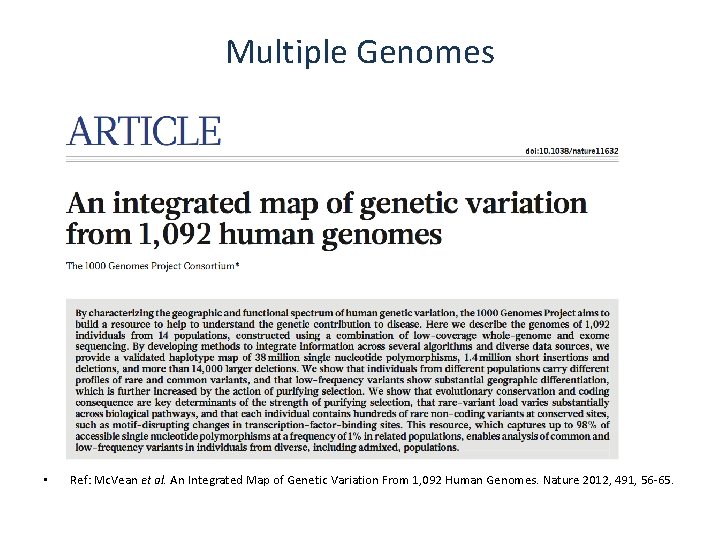 Multiple Genomes • Ref: Mc. Vean et al. An Integrated Map of Genetic Variation