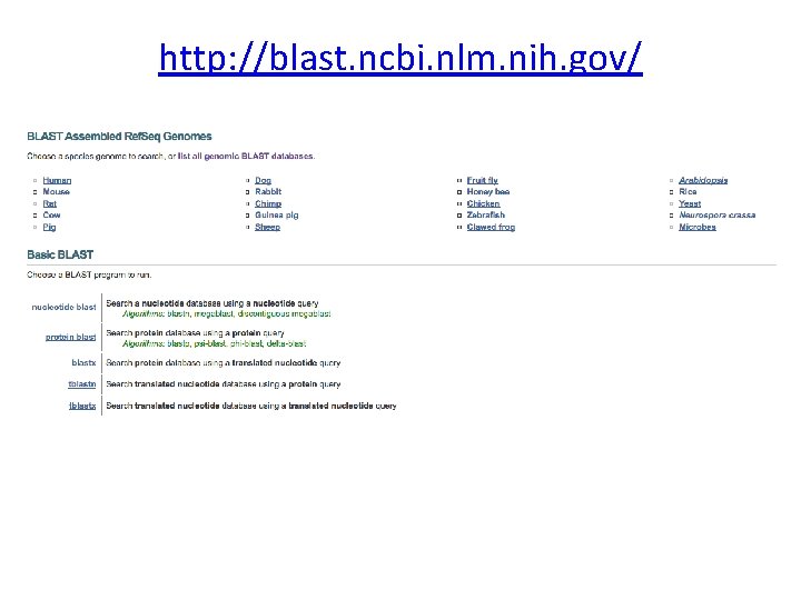 http: //blast. ncbi. nlm. nih. gov/ 