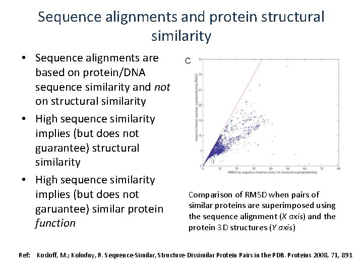 Sequence alignments and protein structural similarity • Sequence alignments are based on protein/DNA sequence