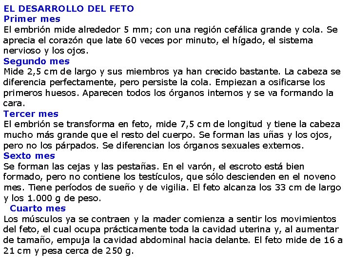 EL DESARROLLO DEL FETO Primer mes El embrión mide alrededor 5 mm; con una