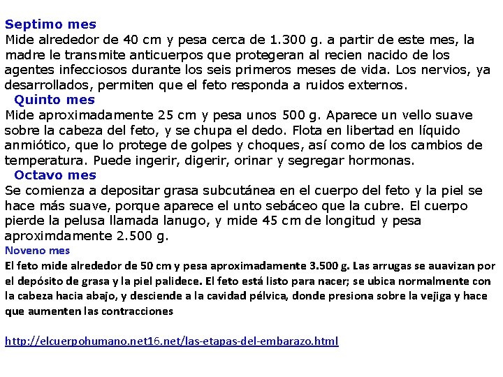 Septimo mes Mide alrededor de 40 cm y pesa cerca de 1. 300 g.