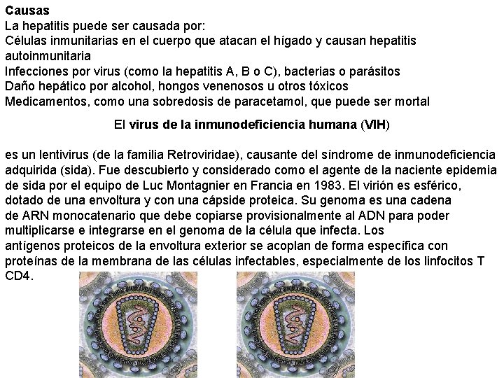 Causas La hepatitis puede ser causada por: Células inmunitarias en el cuerpo que atacan