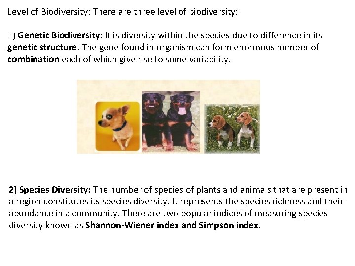 Level of Biodiversity: There are three level of biodiversity: 1) Genetic Biodiversity: It is